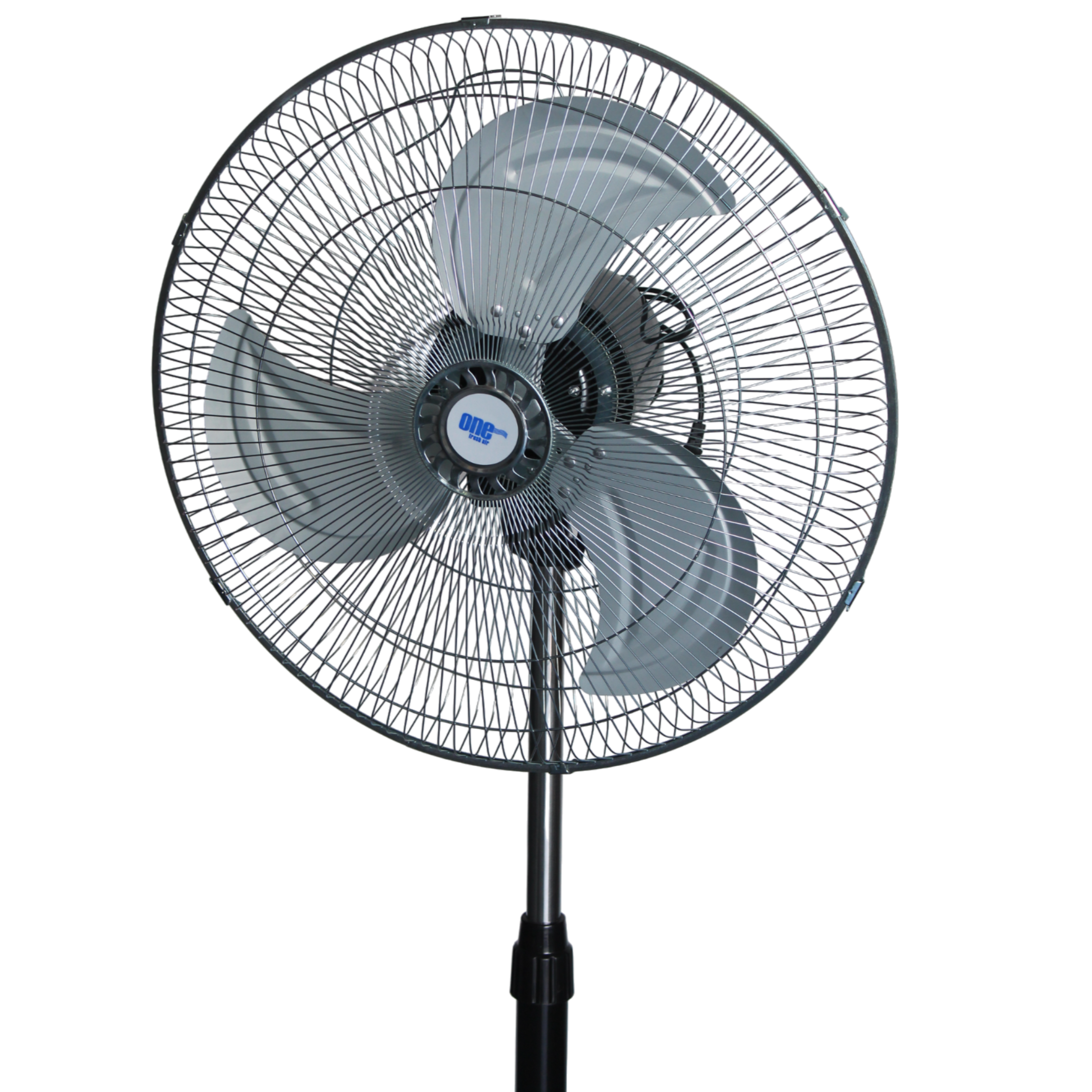 24995-banco-de-datos-2