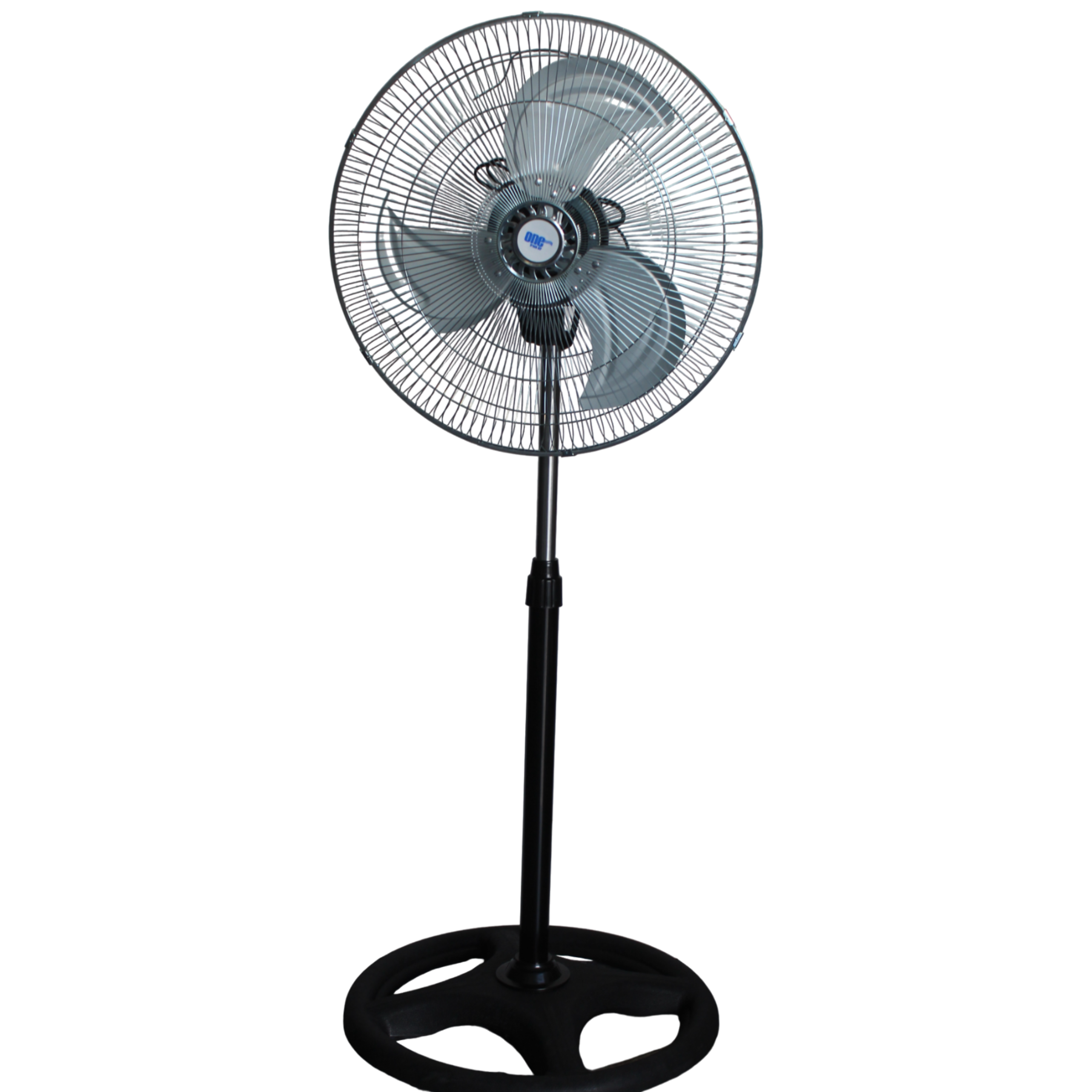 24995-banco-de-datos